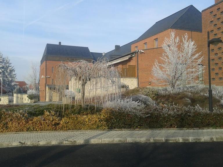 Park Vendeghaz Hotel Herend Bagian luar foto